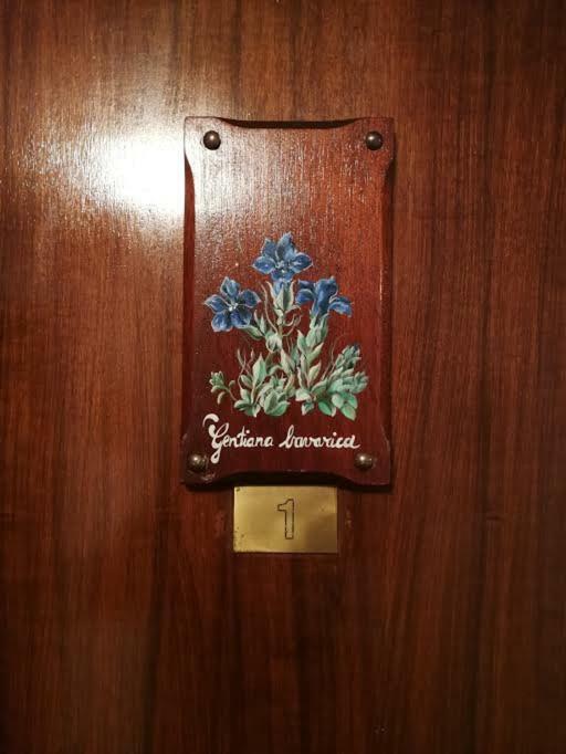 Gentiana Psdcir0037 *